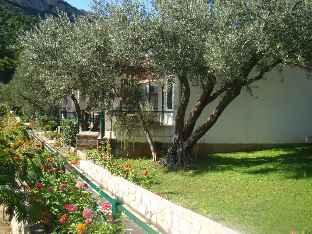 Apartment Bonaca Клек Екстериор снимка